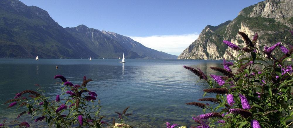 Villa Linfano Torbole Sul Garda Exterior foto